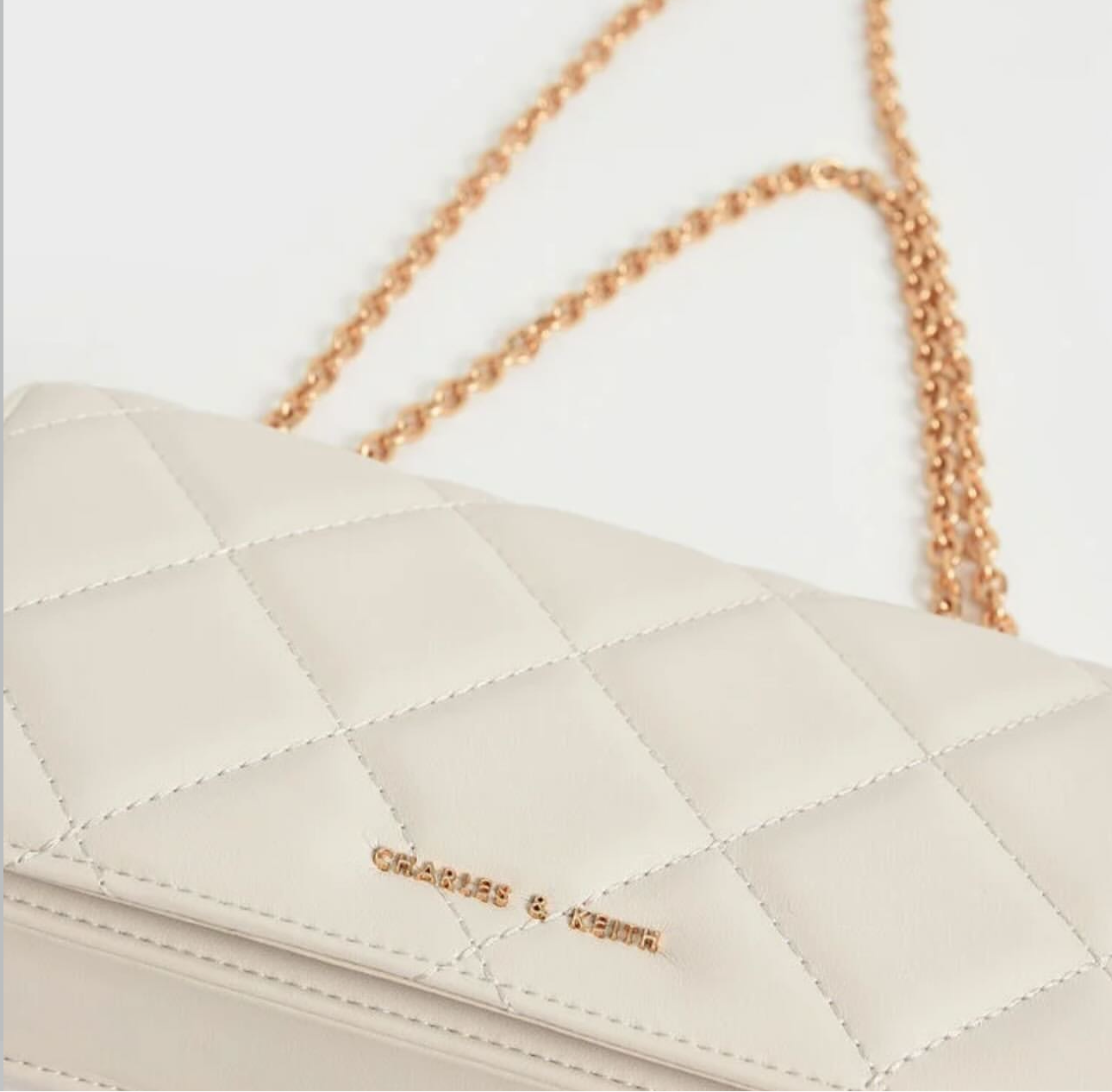 Charles & Keith Bag
