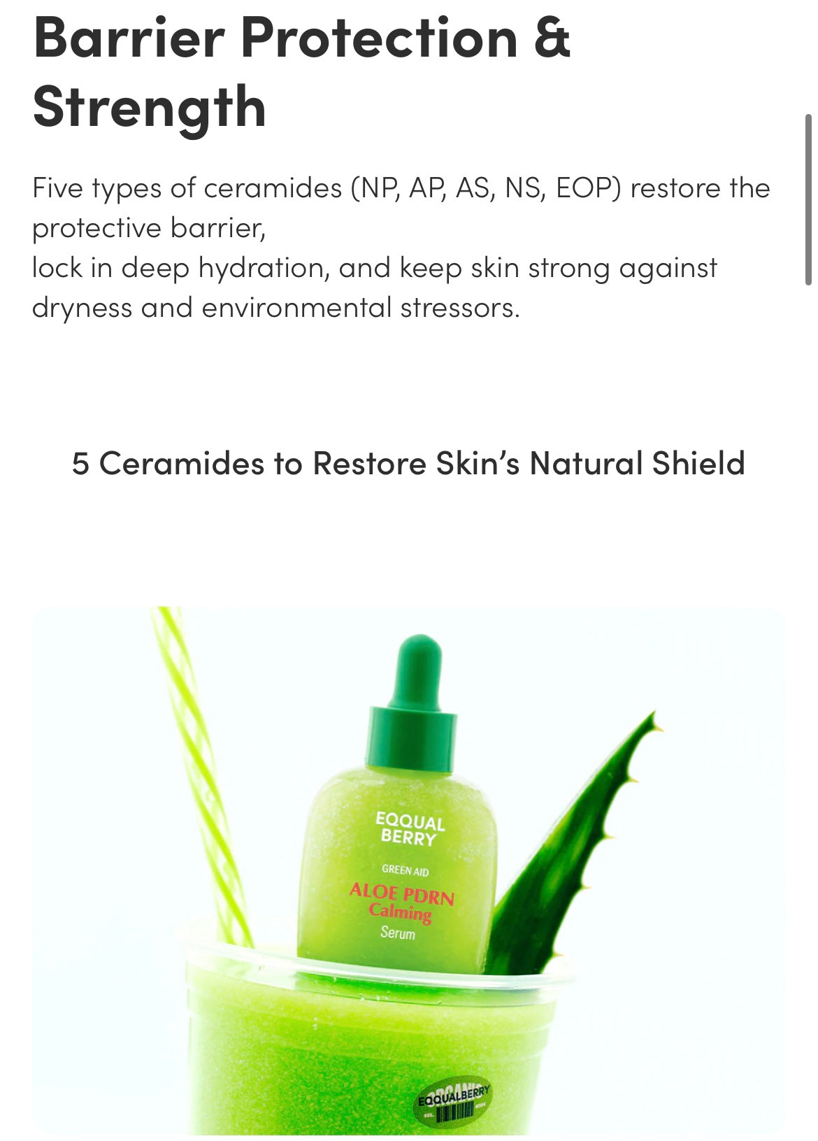 EQQUALBERRY- Aloe PDRN Calming Serum