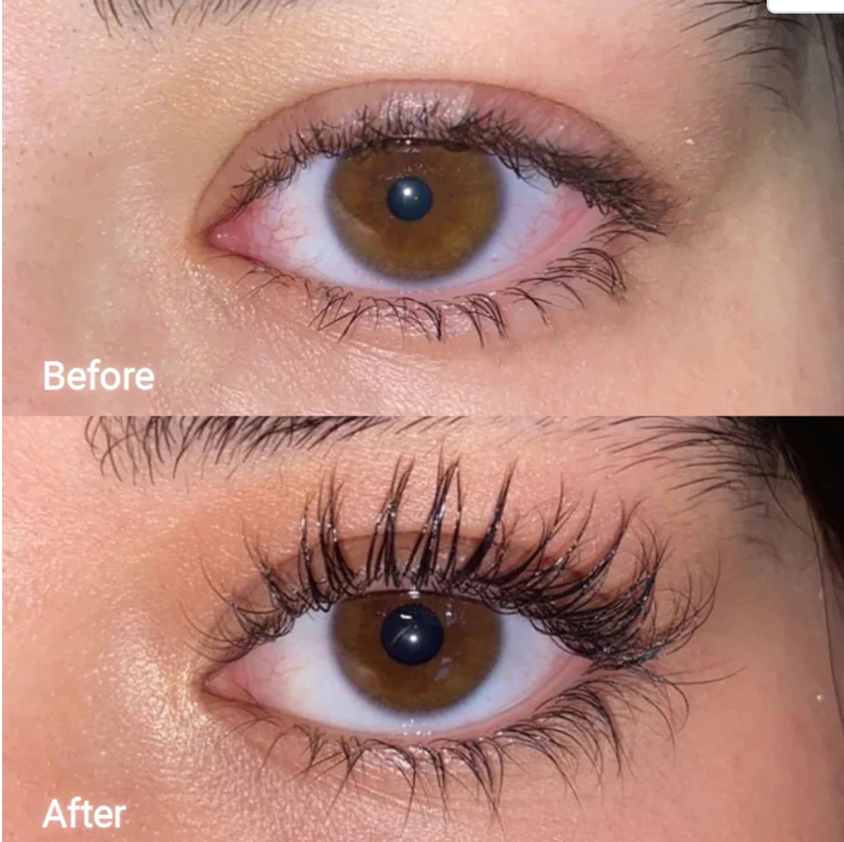 FORCHICS - Eyelash Growth Serum