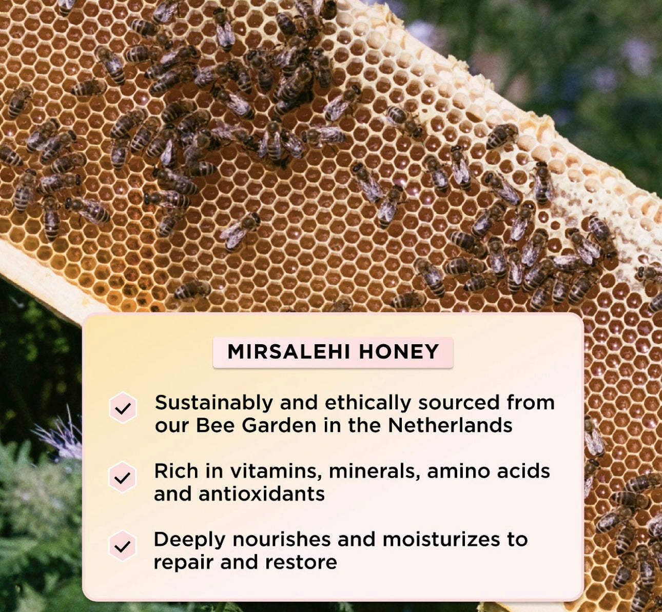 Gisou- Honey Infused Leave-In Conditioner