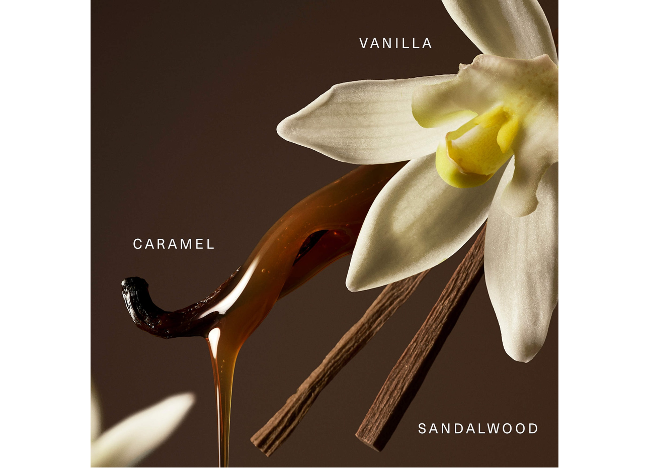 Rare Beauty- Mini Rare Eau de Parfum Set with Vanilla and Caramel