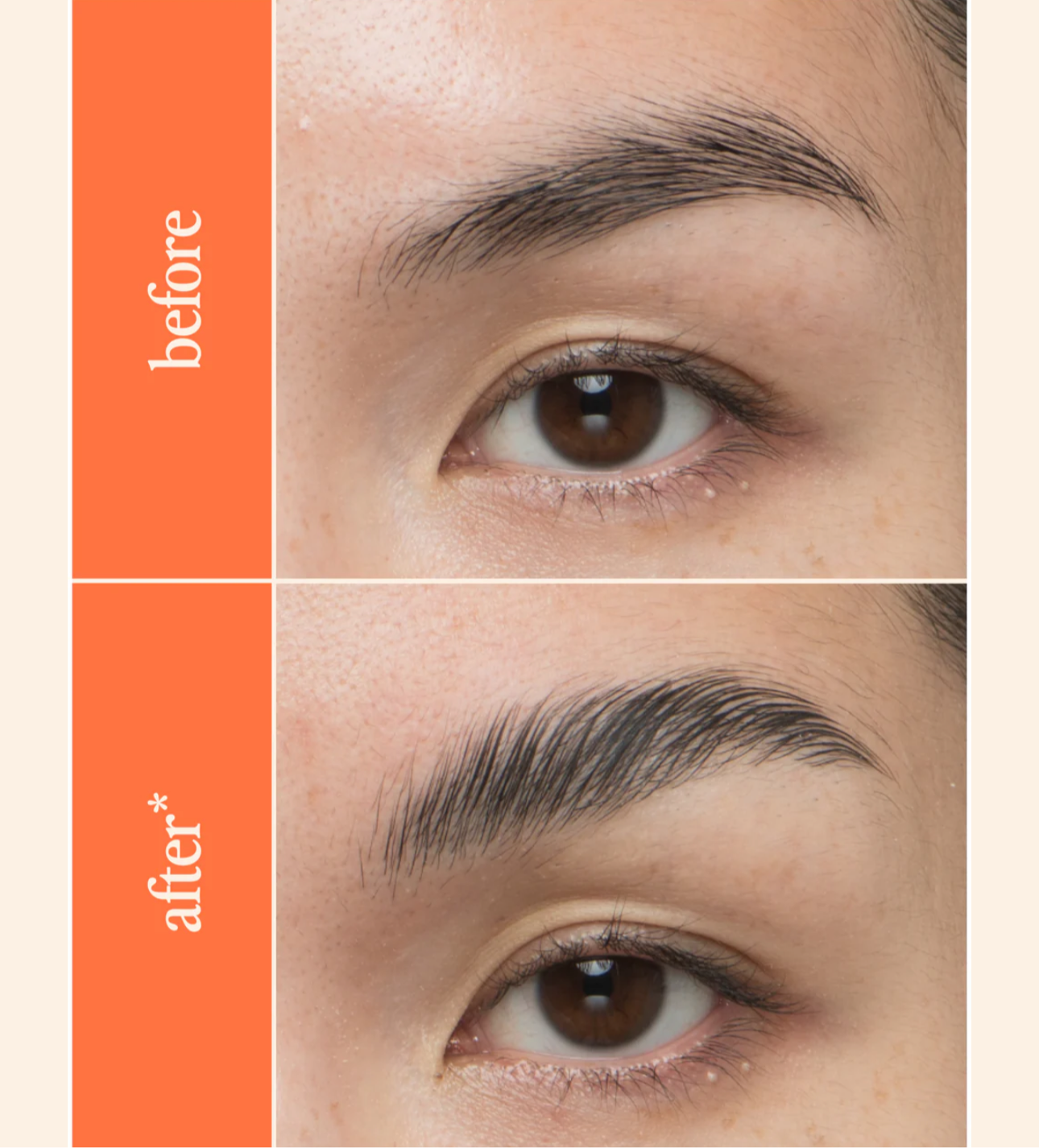 Grande Cosmetics- Lamination Station Set