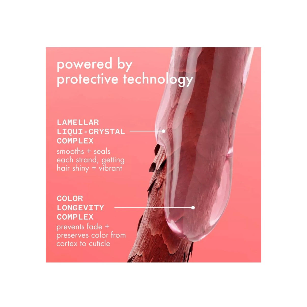 Amika- The Protector Color Protect +
Strengthen Treatment