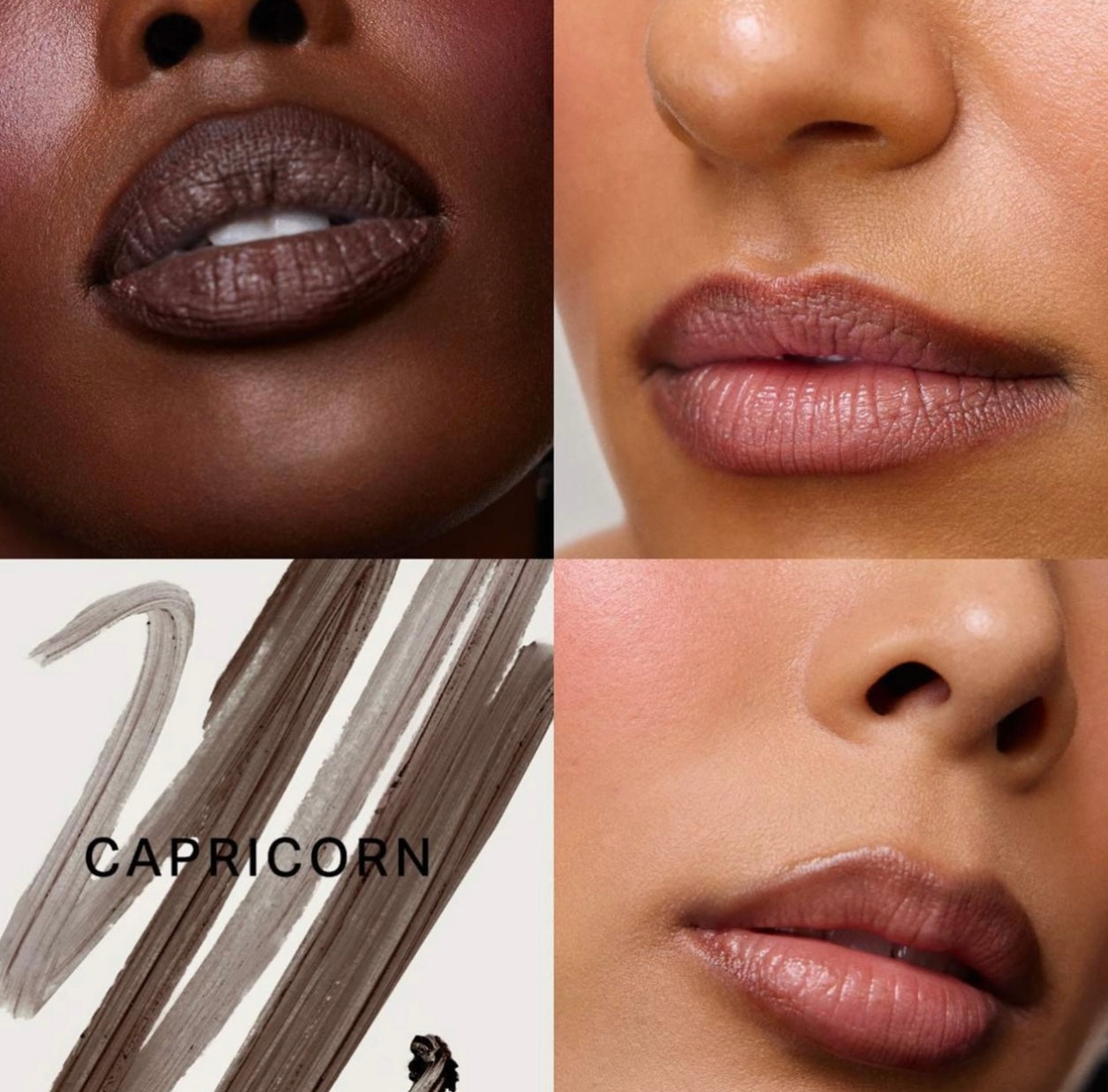 Sephora- Perfect Pout Makeup Lip Value Set