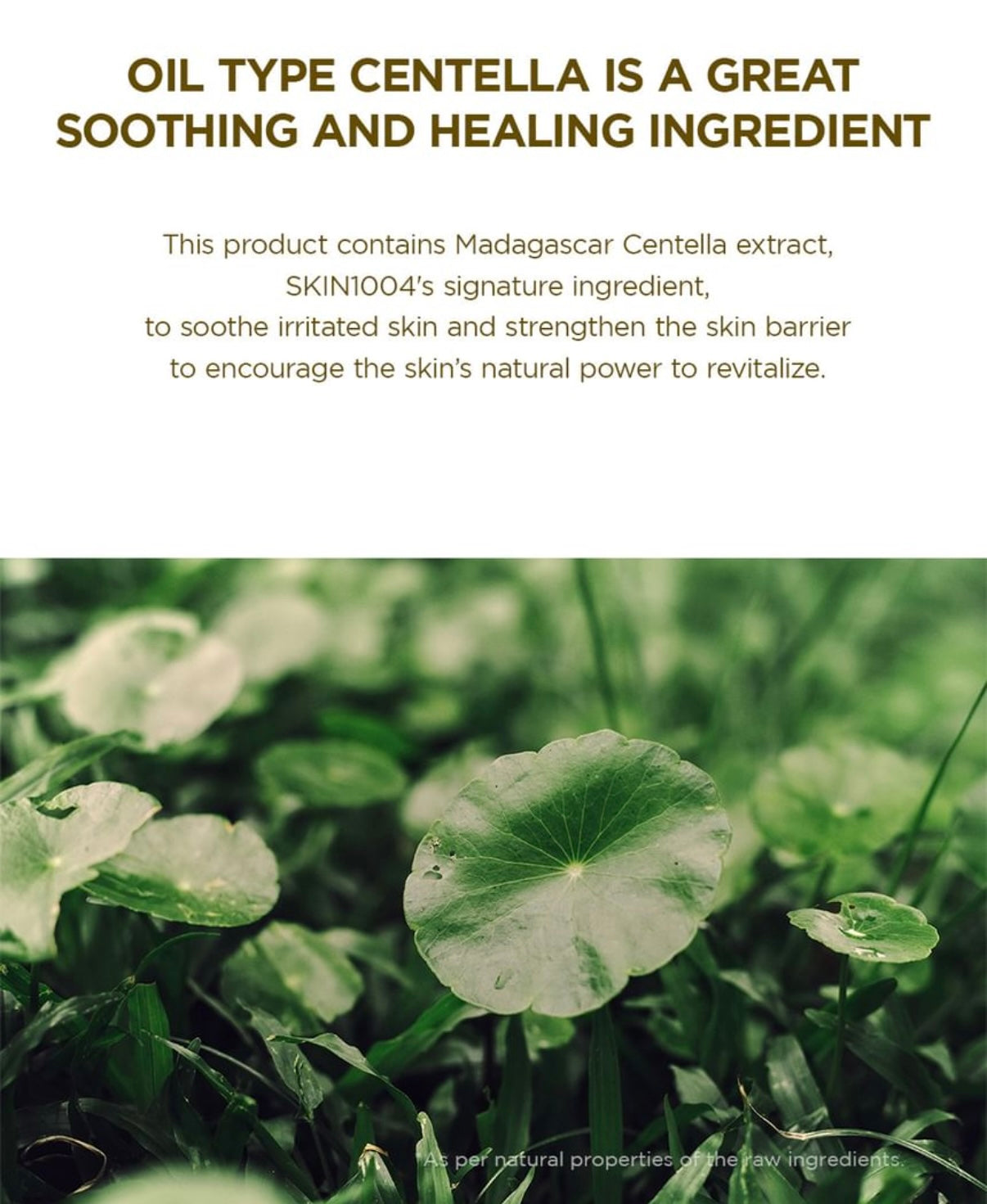 SKIN1004- Madagascar Centella Light Cleansing Oil