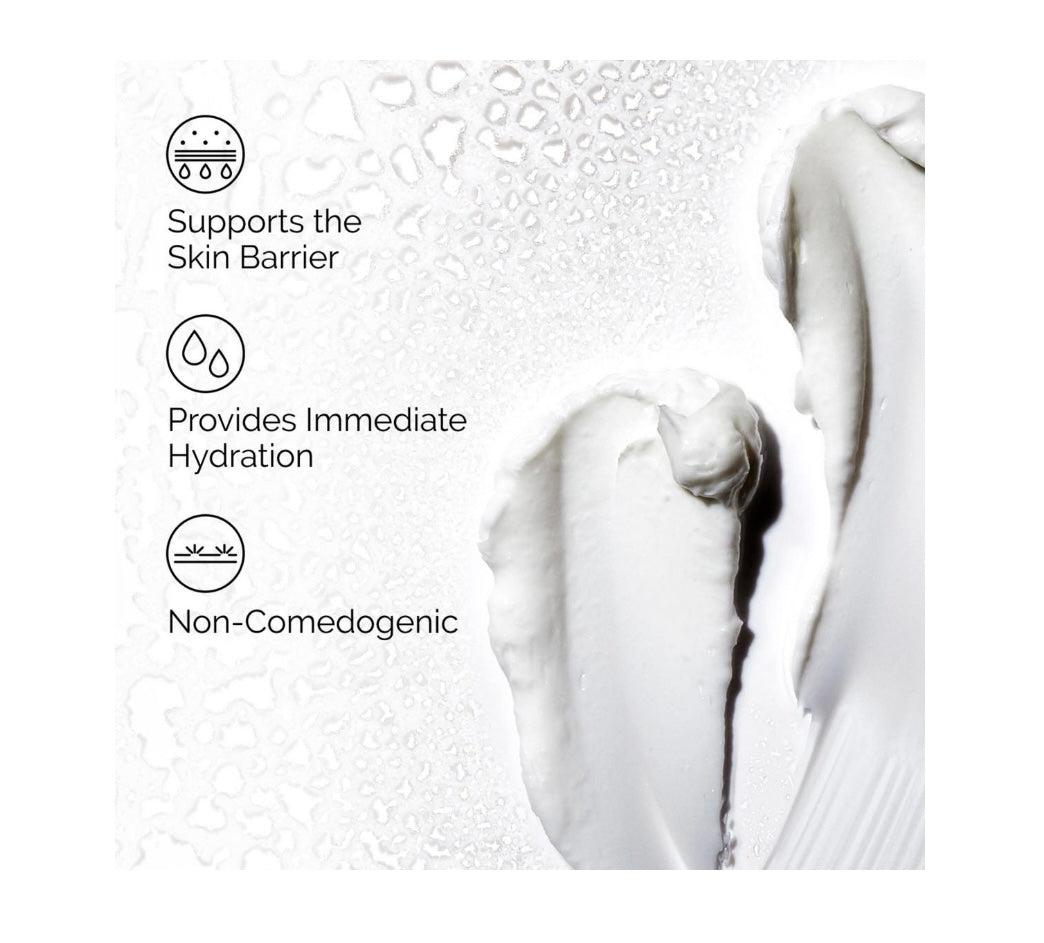 The Ordinary- Natural Moisturizing Factors + Hyaluronic Acid Daily Moisturizer